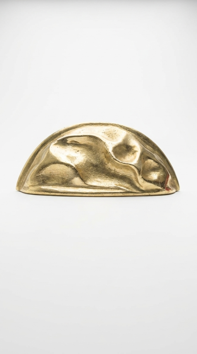 Solid Brass Door Cup Pull F177