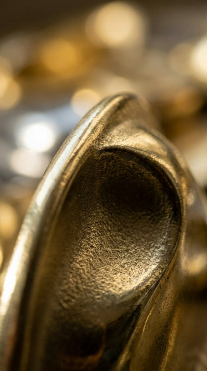Solid Brass Door Cup Pull F172
