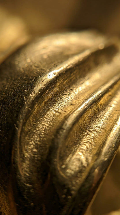 Solid Brass Door Cup Pull F173