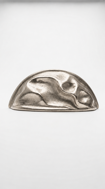 Solid Brass Door Cup Pull F177