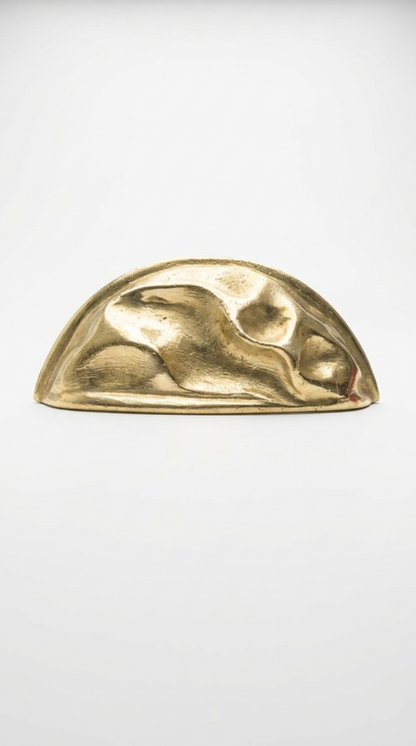 Solid Brass Door Cup Pull F177