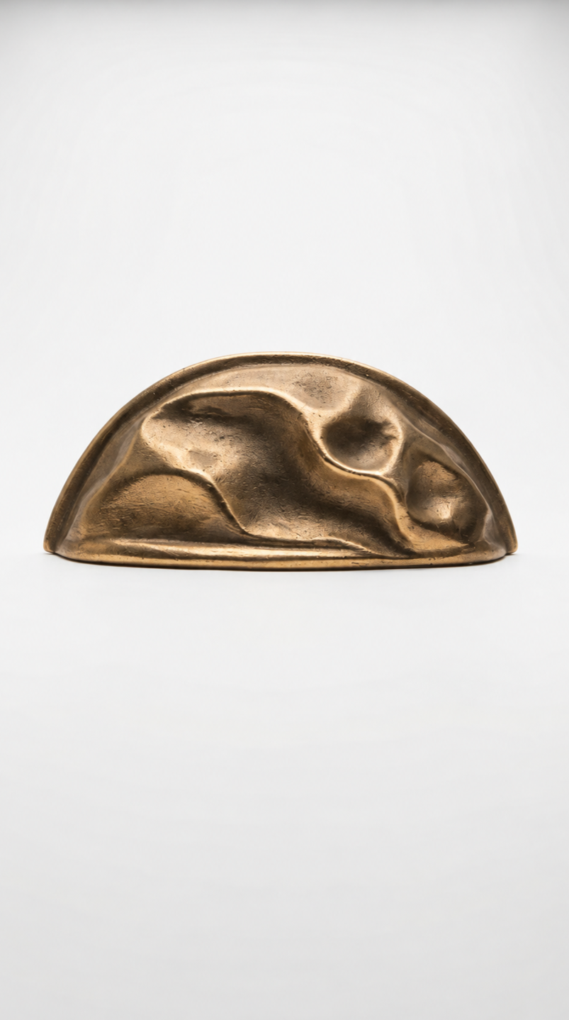 Solid Brass Door Cup Pull F177