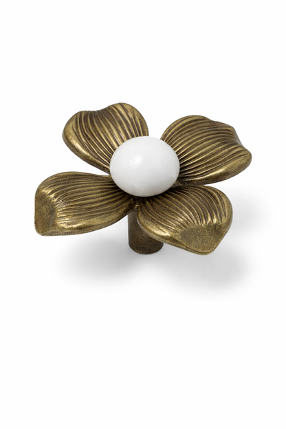 SOLID BRASS DRAWER & CABINET KNOB F63 & F64