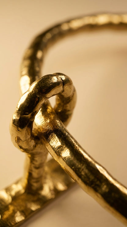 Teratone Solid Brass Towel Ring F100